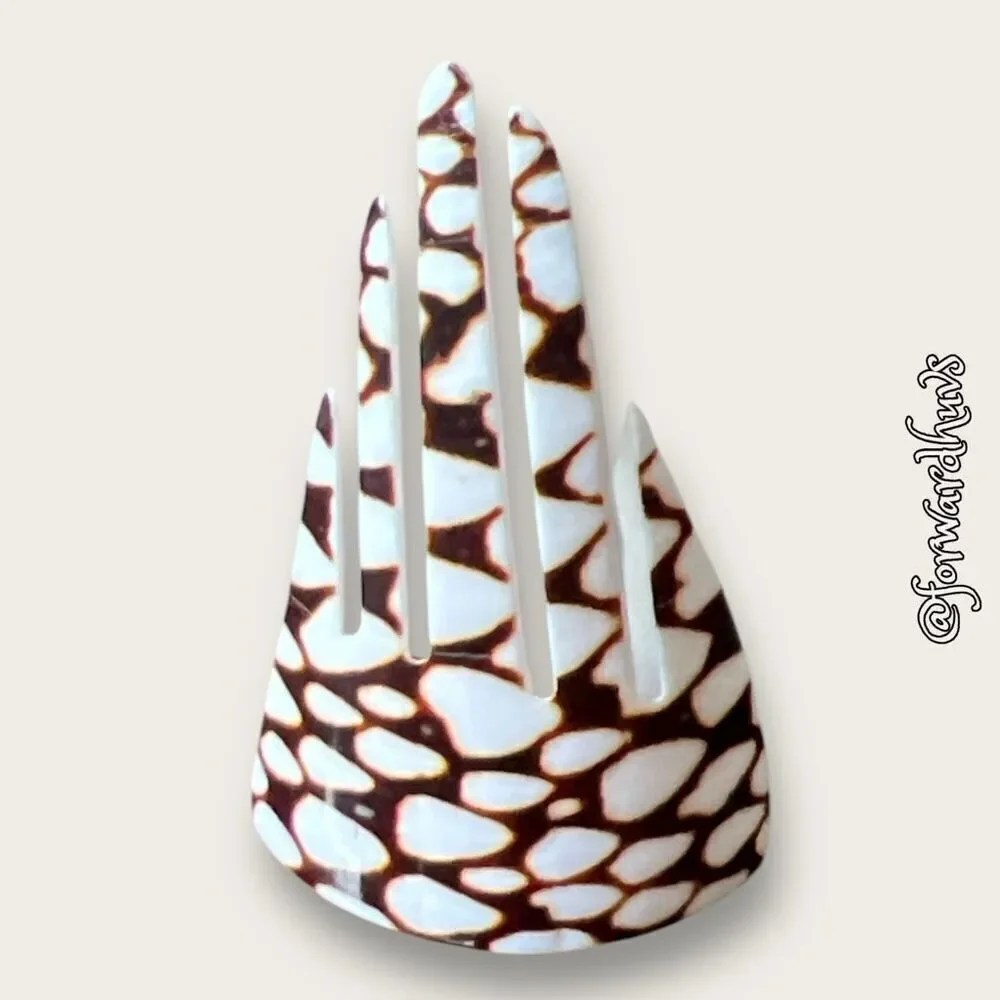 Bundle Sale 3 for $15 | Marbled Cone Shell Carved Hair Comb